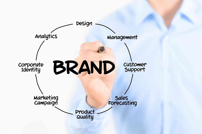 Brand Management Course